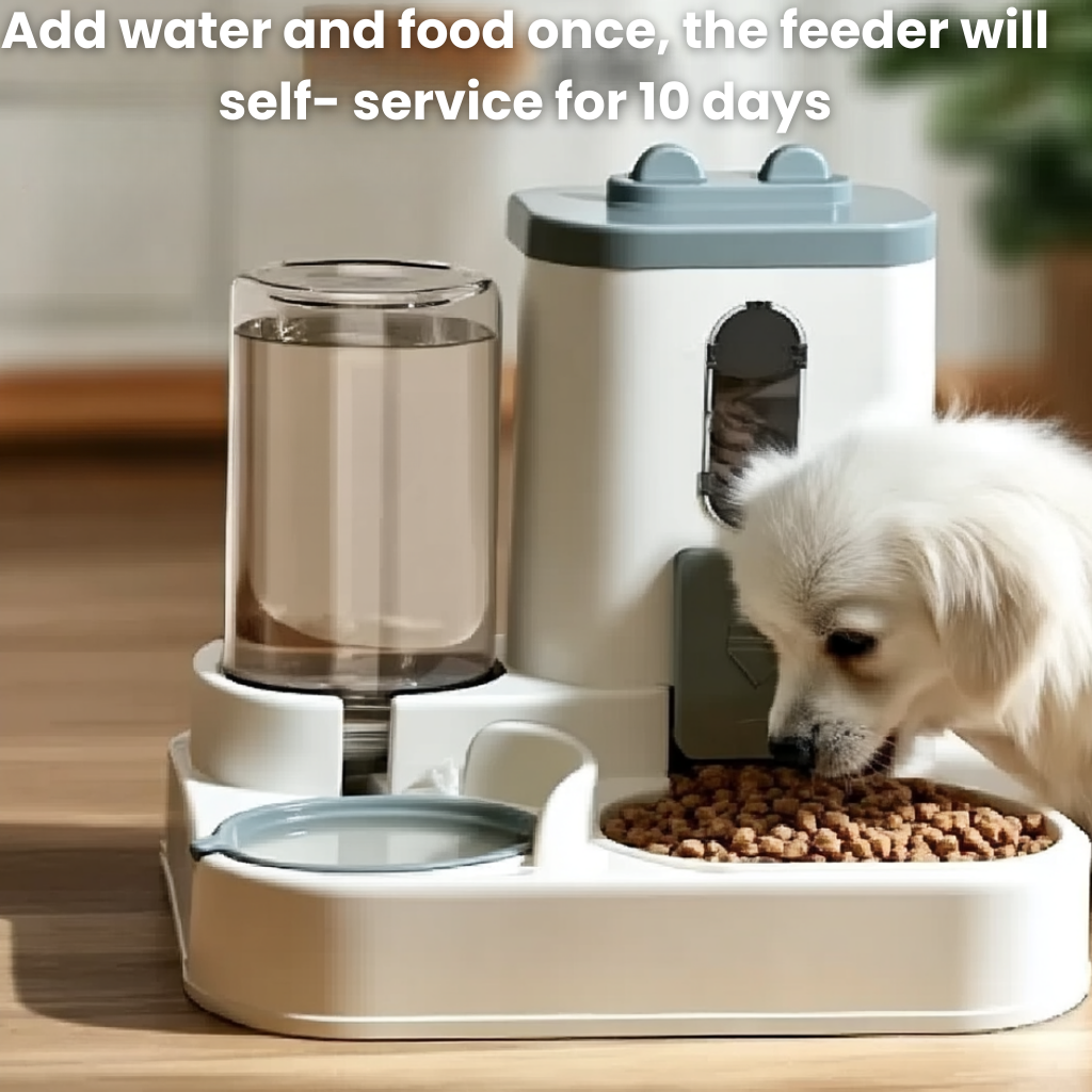 Automatic Pet Feeder & Hydrator
