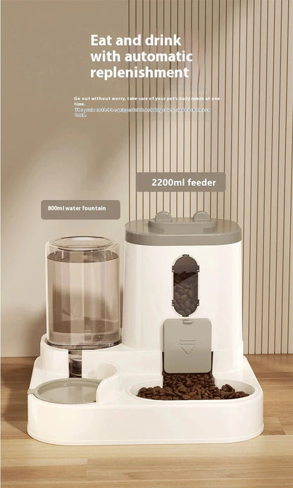 Automatic Pet Feeder & Hydrator
